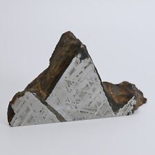 308g Muonionalusta meteorite slice R1939 picture