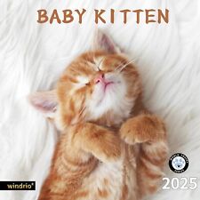 2024 2025 Wall Calendar, July 2024 - December 2025, Monthly Baby Kitten  picture