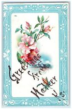 1909 Greetings From Walker Kansas KS Posted Flowers With Design Border Postcard picture