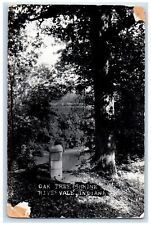 1957 Oak Tree Shrine White River Rivervale Indiana IN RPPC Photo Posted Postcard picture
