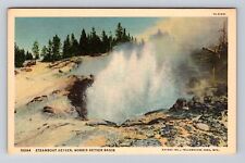 Yellowstone National Park, Steamboat Geyser, Series #10084 Vintage Postcard picture
