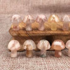 Wholesale 20pcs Mini Natural Cherry Agate Mushroom Hand Carved Crystal Healing picture
