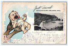 1906 Baby Just Arrived At Catalina Island California CA, Boat Scene Postcard picture
