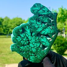 315G  Rare Natural Malachite quartz hand Carved Droplet-shape Crystal Healing picture