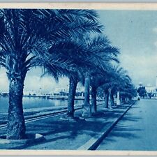 c1930s Benghazi, Libya Seafront Beach Sea City Palm Tree Africa Cyanotype A191 picture