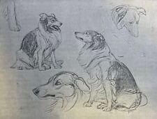 1896 Animal Artist Briton Riviere illustrated picture