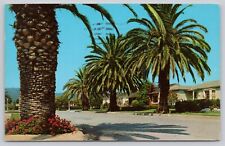 Postcard  View of Residential Street in Pacific Palisades CA c1962 picture