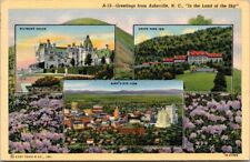 RARE Asheville North Carolina NC Land of The Sky Multiview Vintage Postcard  picture