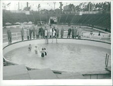 Johanneshov's new summer pool - Vintage Photograph 2312620 picture