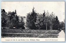 1918 Corner Of Eleventh St. & Becker Ave. Trees House Willmar Minnesota Postcard picture