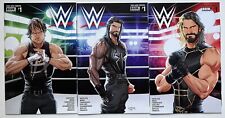 WWE Then Now Forever 1 Roman Reigns Seth Rollins Ambrose Connecting Variant Lot picture