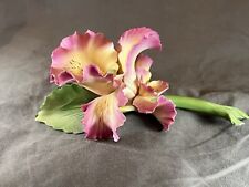 Vintage DEA Porcelain Capodimonte Pink Orchid Flower, Made In Italy picture