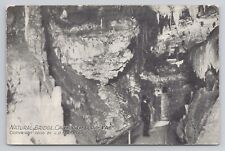 Natural Bridge Caverns Of Luray Virginia c1910 Antique Postcard picture
