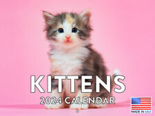 Kitten 2024 Cat Monthly Calender Kitty Gifts Wall Calendar  picture