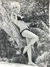 Z2 Beautiful Blonde Sexy Bombshell Posing Tree Photo Shoot 1950's Bikini Woman picture