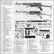WW2 German German MP-40/38 Parts Chart Picture picture