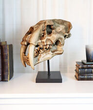 Sabertooth Tiger Cat Fossil Skull Skeleton Replica Statue With Museum Pole Mount picture