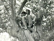 1970s Two on Tree Handsome Bulge Trunks Guys Shirtless Men Gay Int VINTAGE PHOTO picture