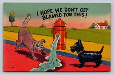 c1947 I Hope We Don't Get Blamed For This VINTAGE Comic Postcard picture