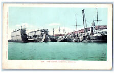 Hamilton Bermuda Postcard The Cambre and Ship View c1905 Antique Unposted picture