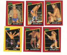 Six WCW 1991 Cards 5 Southern Boys 1 Sting picture