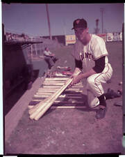 New York Giants' Bobby Thomson Choosing Baseball Bat - Bobby T - 1953 Old Photo picture