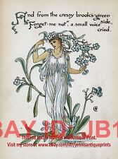 FAIRY Forget-Me-Not Myosotis, 1890 Antique Art Nouveau Print picture