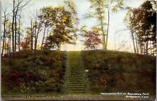 Steps Up to Observation Hill, Beardsley Park, Bridgeport CT Vintage Postcard T61 picture