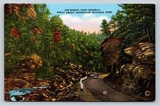 Scenic Loop Highway, Great Smoky Mountains National Park VINTAGE Postcard picture