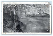 Elizabeth's Parlor New Entrance To Mammoth Cave Niagara Falls NY Postcard picture