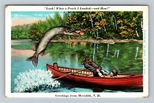 Meredith NH-New Hampshire, General Greetings, Fishing, c1960 Vintage Postcard picture