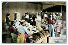 1913 Interior Packing Figs Modesto California Vintage Antique Posted Postcard picture
