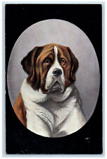 Postcard Favourite Dogs Smooth St. Bernard Dog c1910 Antique Tuck Dogs picture