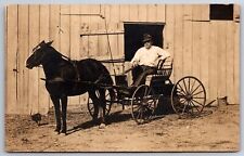Man In Hat Casually Shows Off His Handsome Horse & Buggy~Barn Door~c1910 RPPC picture