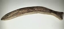 Really nice Vinctifer Comptoni Fish 40 CM Cretaceous, Brazil picture