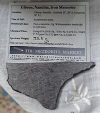 75.9 GM ETCHED GIBEON IRON METEORITE SLICE MUSEUM  GRADE   NAMIBIA AFRICA picture