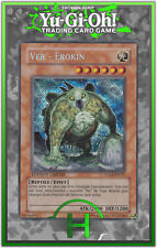 Worm - Erokin - HA01-FR021 - French Yu-Gi-Oh Card picture