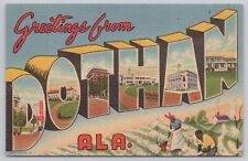 Dothan Alabama, Large Letter Greetings, Picking Cotton, Vintage Postcard picture