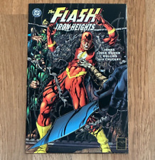 The Flash: Iron Heights (2001) 1st Murmur Girder & Double Down Suicide Squad picture