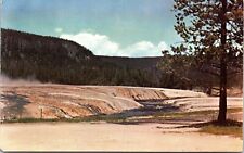 Iron Creek Yellowstone National Park Wyoming Scenic Landscape Chrome Postcard picture