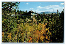 c1950s Trail West Lodge, Route 1, Buena Vista CO Unposted Vintage Postcard picture