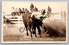 Real Photo Calgary Stampede Rodeo Cowboy Steer Wrangling Alberta RP RPPC I-354 picture