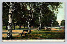 1908 Tower Grove Park St. Louis MO Postcard picture