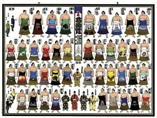 2024 Grand Sumo Summer Tournament Illustrated Rankings Yokozuna Ohzeki Sekiwake picture
