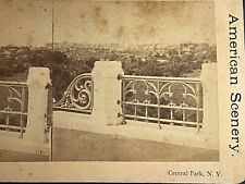 1860s Stereoview Central Park Landscape View From High New York City Skyline picture