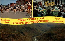 Tioga County & PA Canyon  Fall Foliage Queen Tyoga Farms marching band majorette picture