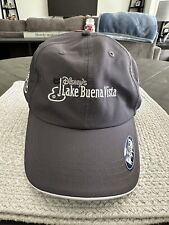 Disney’s Lake Buena Vista Adjustable Dri-Fit Golf Hat Cap - Very Gently Used picture