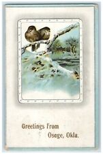 c1910's Greetings From Osage Oklahoma OK, Birds Embossed Antique Postcard picture