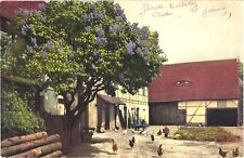 Beautiful Purple Flowering Tree, Chickens Running Around Postcard picture