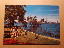 Vintage Postcard - Toronto Islands Canada Geese 1690s - Majestic Postcard picture